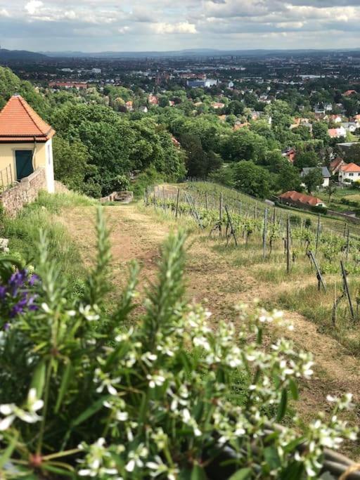 Wohlfuehl-Apartment Am Paradiesberg Radebeul Exteriör bild